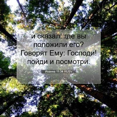 Picture 07 - Иоанна 11:34 RUSV - и сказал: где вы положили - Bible Verse Picture