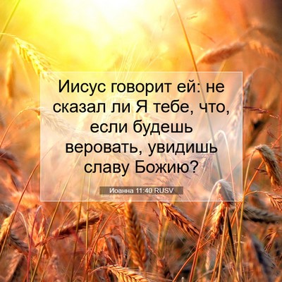 Picture 07 - Иоанна 11:40 RUSV - Иисус говорит ей: не сказал - Bible Verse Picture