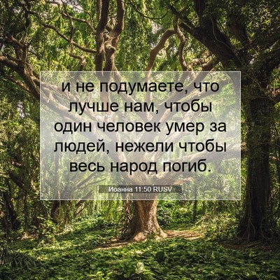 Picture 07 - Иоанна 11:50 RUSV - и не подумаете, что лучше - Bible Verse Picture