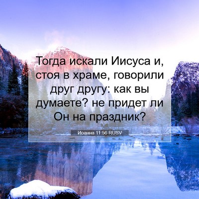 Picture 07 - Иоанна 11:56 RUSV - Тогда искали Иисуса и, стоя - Bible Verse Picture