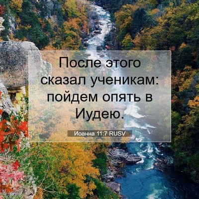 Picture 07 - Иоанна 11:7 RUSV - После этого сказал - Bible Verse Picture