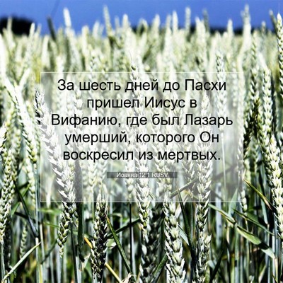Picture 07 - Иоанна 12:1 RUSV - За шесть дней до Пасхи - Bible Verse Picture