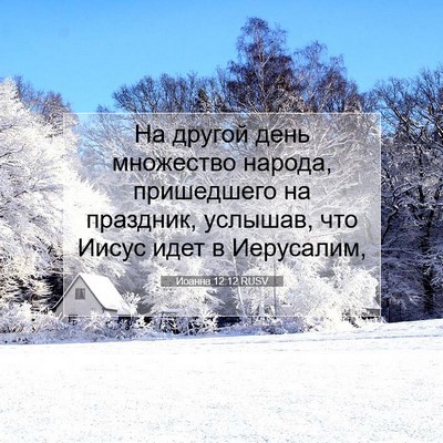 Picture 07 - Иоанна 12:12 RUSV - На другой день множество - Bible Verse Picture