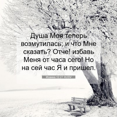 Picture 07 - Иоанна 12:27 RUSV - Душа Моя теперь - Bible Verse Picture