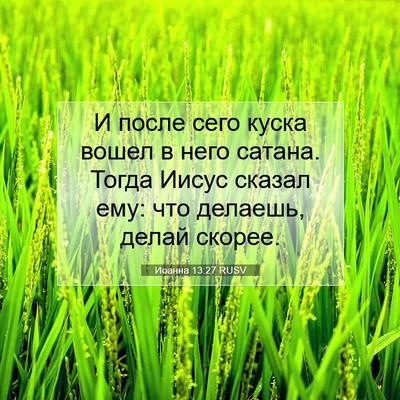 Picture 07 - Иоанна 13:27 RUSV - И после сего куска вошел в - Bible Verse Picture