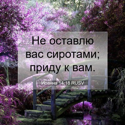 Picture 07 - Иоанна 14:18 RUSV - Не оставлю вас сиротами; - Bible Verse Picture