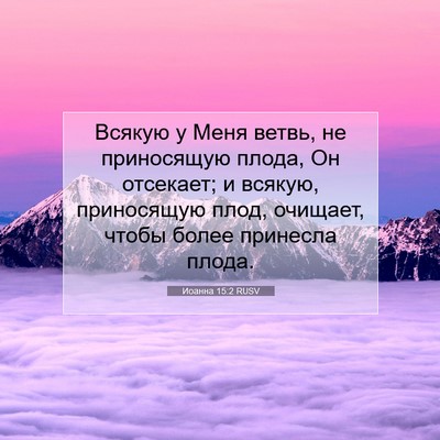 Picture 07 - Иоанна 15:2 RUSV - Всякую у Меня ветвь, не - Bible Verse Picture