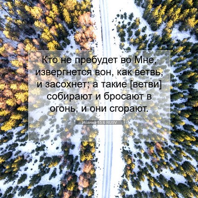 Picture 07 - Иоанна 15:6 RUSV - Кто не пребудет во Мне, - Bible Verse Picture