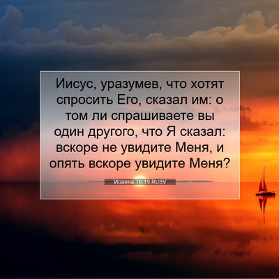 Picture 07 - Иоанна 16:19 RUSV - Иисус, уразумев, что хотят - Bible Verse Picture