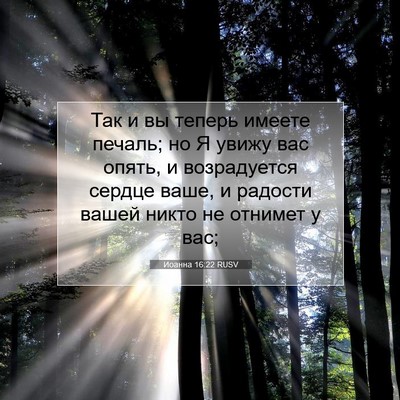 Picture 07 - Иоанна 16:22 RUSV - Так и вы теперь имеете - Bible Verse Picture