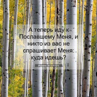 Picture 07 - Иоанна 16:5 RUSV - А теперь иду к Пославшему - Bible Verse Picture