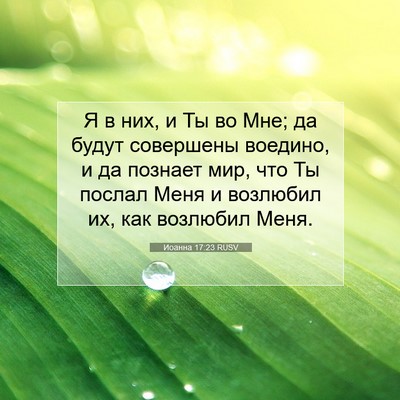 Picture 07 - Иоанна 17:23 RUSV - Я в них, и Ты во Мне; да - Bible Verse Picture