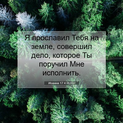 Picture 07 - Иоанна 17:4 RUSV - Я прославил Тебя на земле, - Bible Verse Picture