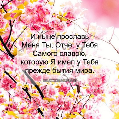 Picture 07 - Иоанна 17:5 RUSV - И ныне прославь Меня Ты, - Bible Verse Picture