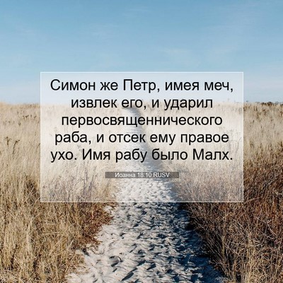 Picture 07 - Иоанна 18:10 RUSV - Симон же Петр, имея меч, - Bible Verse Picture