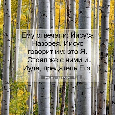 Picture 07 - Иоанна 18:5 RUSV - Ему отвечали: Иисуса - Bible Verse Picture