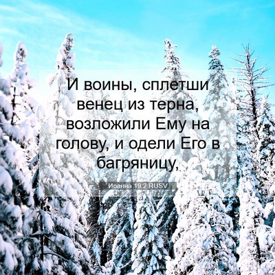Picture 07 - Иоанна 19:2 RUSV - И воины, сплетши венец из - Bible Verse Picture