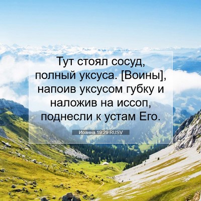 Picture 07 - Иоанна 19:29 RUSV - Тут стоял сосуд, полный - Bible Verse Picture