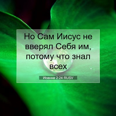 Picture 07 - Иоанна 2:24 RUSV - Но Сам Иисус не вверял Себя - Bible Verse Picture