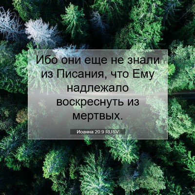 Picture 07 - Иоанна 20:9 RUSV - Ибо они еще не знали из - Bible Verse Picture