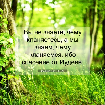 Picture 07 - Иоанна 4:22 RUSV - Вы не знаете, чему - Bible Verse Picture