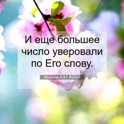 Picture 07 - Иоанна 4:41 RUSV - И еще большее число - Bible Verse Picture