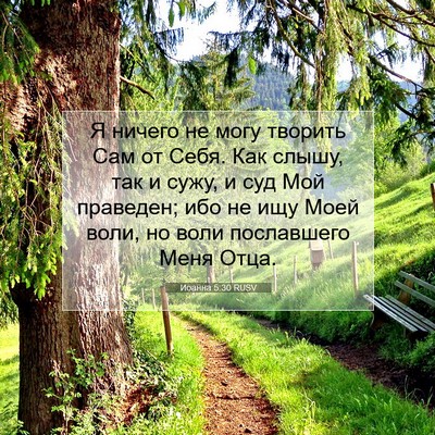 Picture 07 - Иоанна 5:30 RUSV - Я ничего не могу творить - Bible Verse Picture