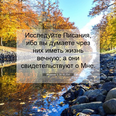 Picture 07 - Иоанна 5:39 RUSV - Исследуйте Писания, ибо вы - Bible Verse Picture