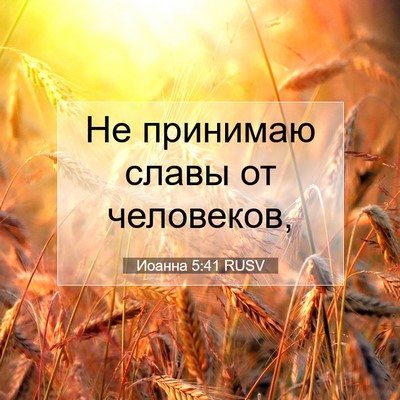 Picture 07 - Иоанна 5:41 RUSV - Не принимаю славы от - Bible Verse Picture