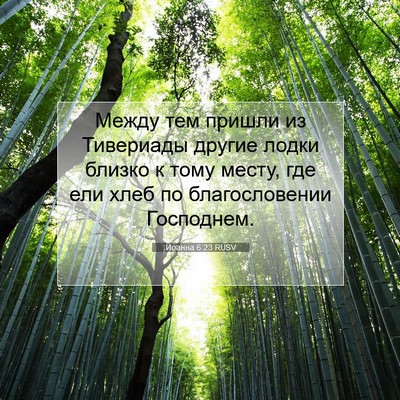 Picture 07 - Иоанна 6:23 RUSV - Между тем пришли из - Bible Verse Picture