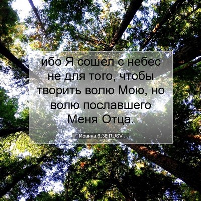 Picture 07 - Иоанна 6:38 RUSV - ибо Я сошел с небес не для - Bible Verse Picture