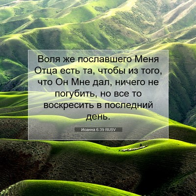 Picture 07 - Иоанна 6:39 RUSV - Воля же пославшего Меня - Bible Verse Picture