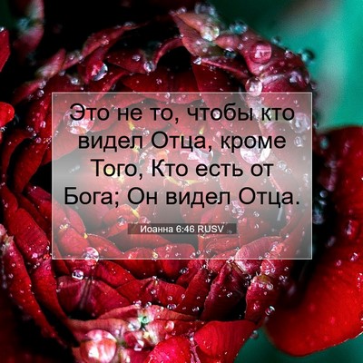 Picture 07 - Иоанна 6:46 RUSV - Это не то, чтобы кто видел - Bible Verse Picture
