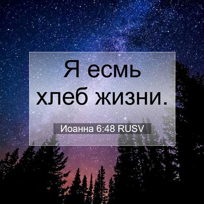 Picture 07 - Иоанна 6:48 RUSV - Я есмь хлеб - Bible Verse Picture