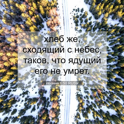 Picture 07 - Иоанна 6:50 RUSV - хлеб же, сходящий с небес, - Bible Verse Picture