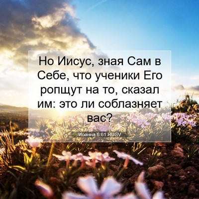 Picture 07 - Иоанна 6:61 RUSV - Но Иисус, зная Сам в Себе, - Bible Verse Picture