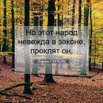 Picture 07 - Иоанна 7:49 RUSV - Но этот народ невежда в - Bible Verse Picture