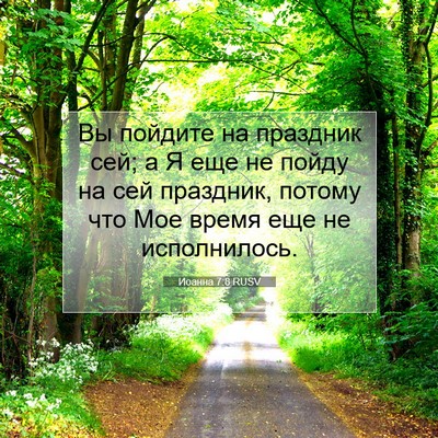 Picture 07 - Иоанна 7:8 RUSV - Вы пойдите на праздник сей; - Bible Verse Picture