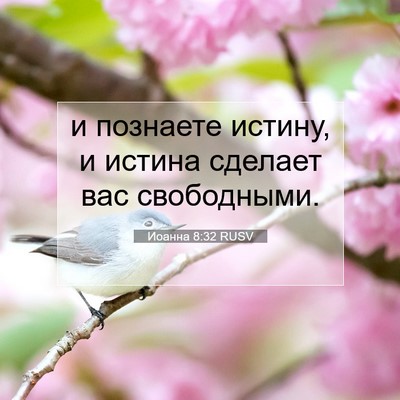 Picture 07 - Иоанна 8:32 RUSV - и познаете истину, и истина - Bible Verse Picture