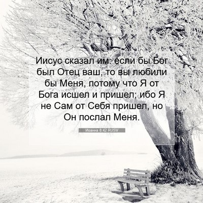 Picture 07 - Иоанна 8:42 RUSV - Иисус сказал им: если бы - Bible Verse Picture