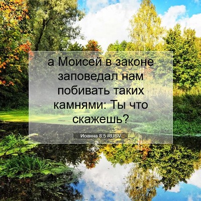 Picture 07 - Иоанна 8:5 RUSV - а Моисей в законе - Bible Verse Picture