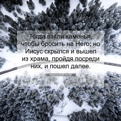 Picture 07 - Иоанна 8:59 RUSV - Тогда взяли каменья, чтобы - Bible Verse Picture