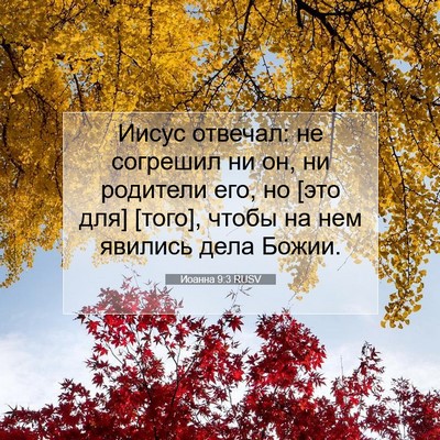 Picture 07 - Иоанна 9:3 RUSV - Иисус отвечал: не согрешил - Bible Verse Picture