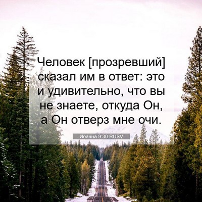 Picture 07 - Иоанна 9:30 RUSV - Человек [прозревший] - Bible Verse Picture