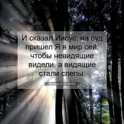 Picture 07 - Иоанна 9:39 RUSV - И сказал Иисус: на суд - Bible Verse Picture