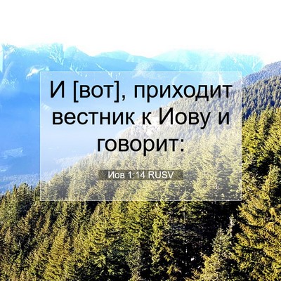 Picture 07 - Иов 1:14 RUSV - И [вот], приходит вестник к - Bible Verse Picture