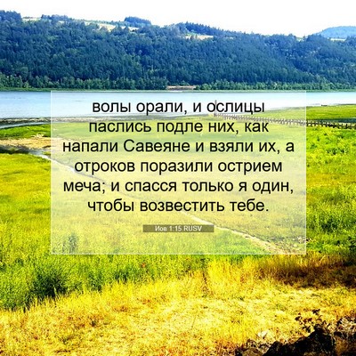 Picture 07 - Иов 1:15 RUSV - волы орали, и ослицы - Bible Verse Picture