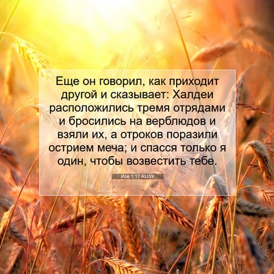 Picture 07 - Иов 1:17 RUSV - Еще он говорил, как - Bible Verse Picture