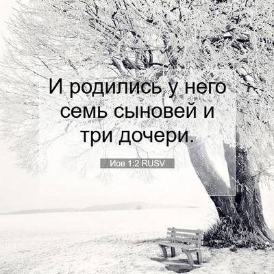 Picture 07 - Иов 1:2 RUSV - И родились у него семь - Bible Verse Picture
