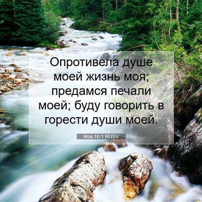 Picture 07 - Иов 10:1 RUSV - Опротивела душе моей жизнь - Bible Verse Picture
